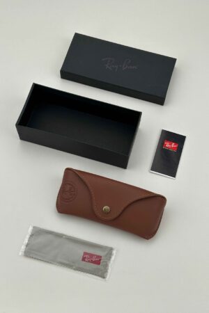 rayban-brown-case