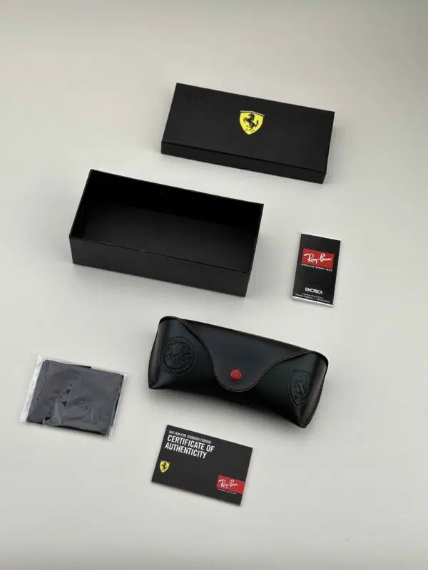 rayban-ferrari-case