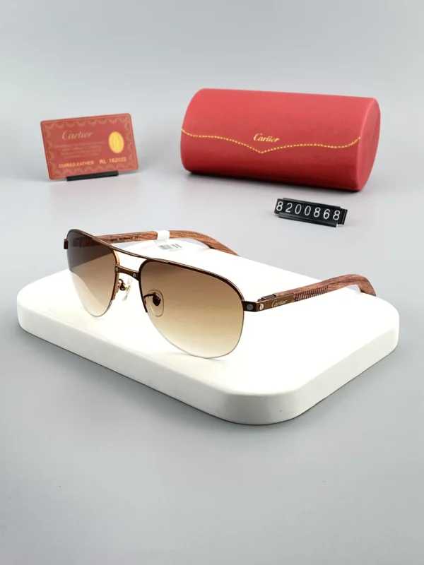 cartier-ct8200868-sunglasses