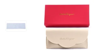 کیس عینک Salvatore Ferragamo